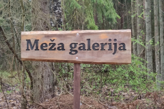 Meža galerija Baldonē