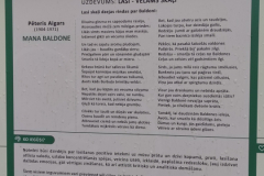 Pa Baldones takām