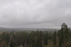 Riekstukalna skatu tornī
