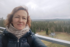 Riekstukalna skatu tornī